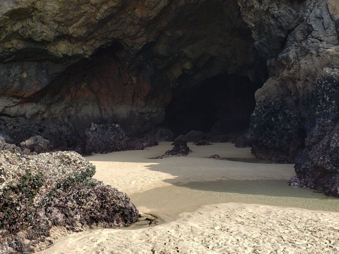 Plage de Pen had景点图片