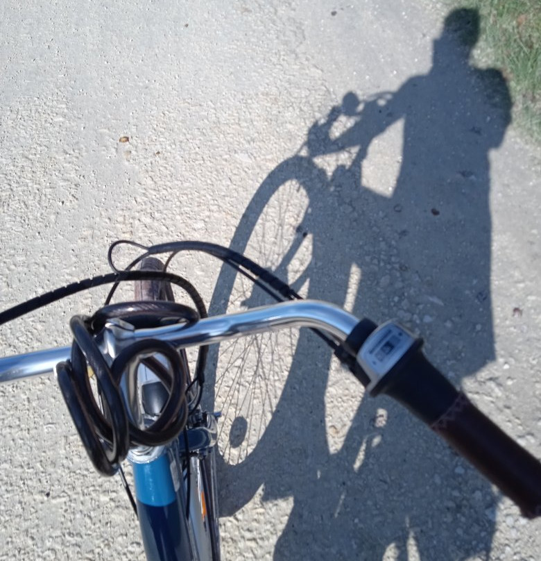 Cycles Demion景点图片