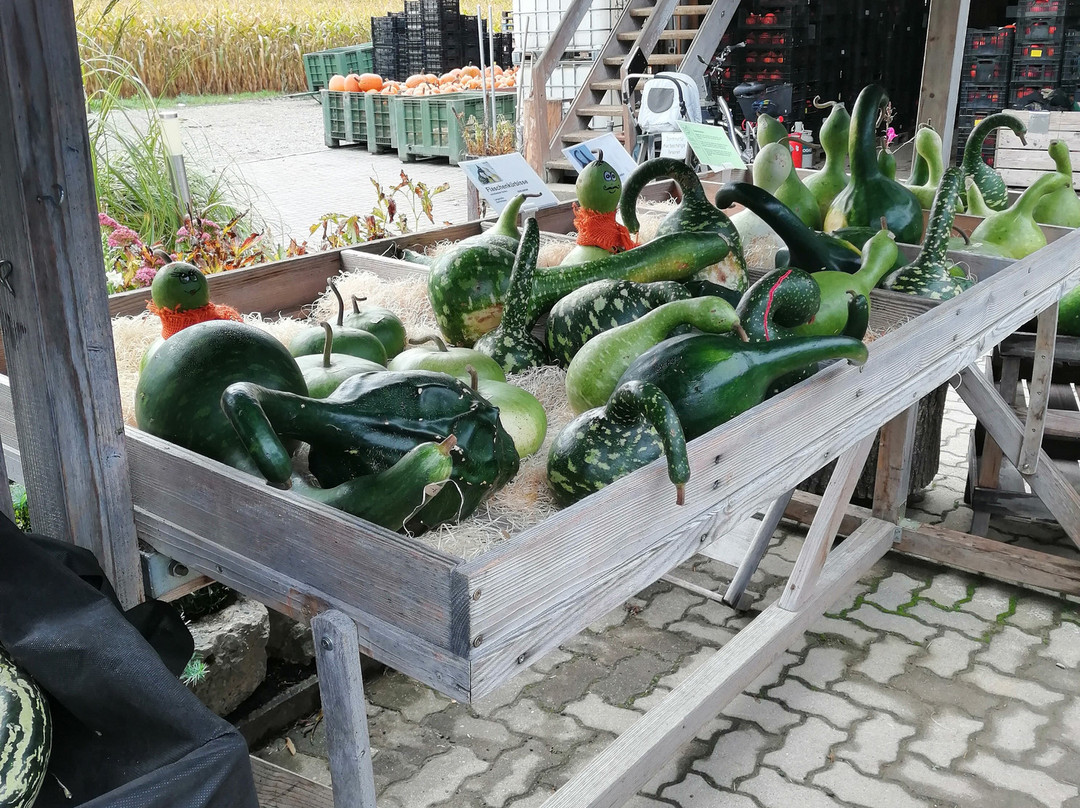 Mathis-Hof-Bottmingen必去景点
