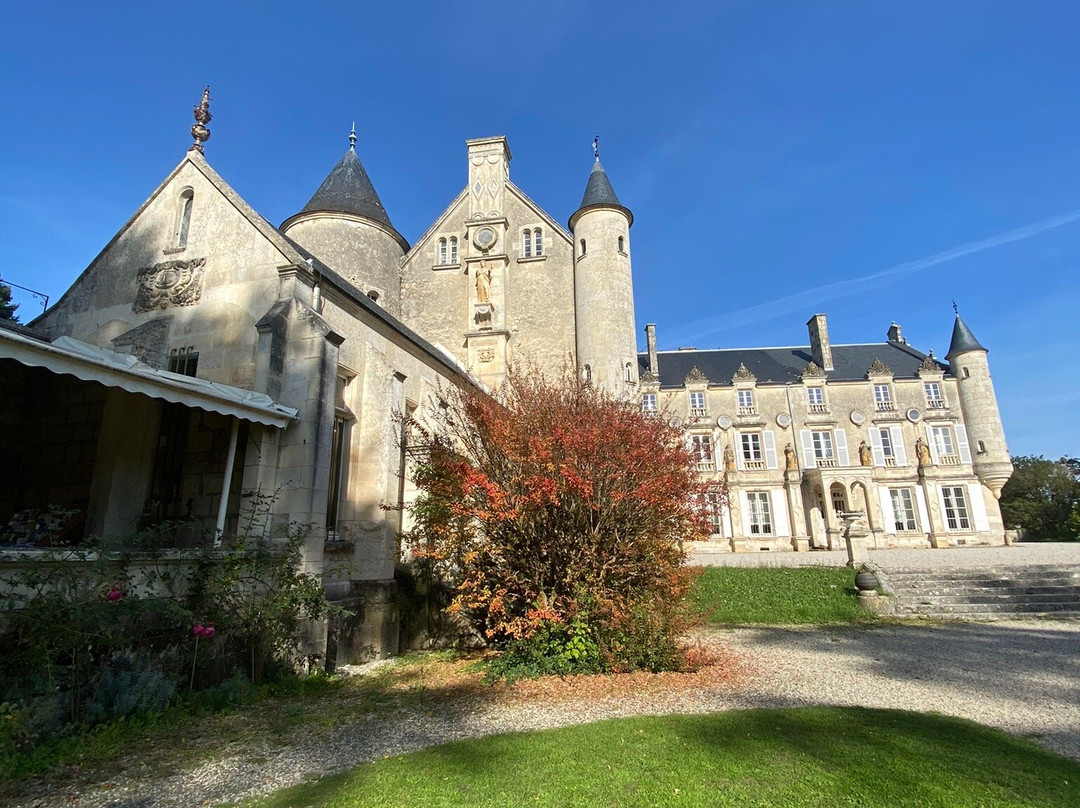 Château de Terre Neuve景点图片