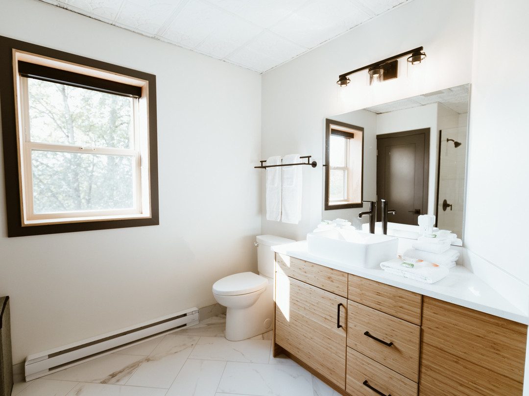 The Flying Steamshovel主图