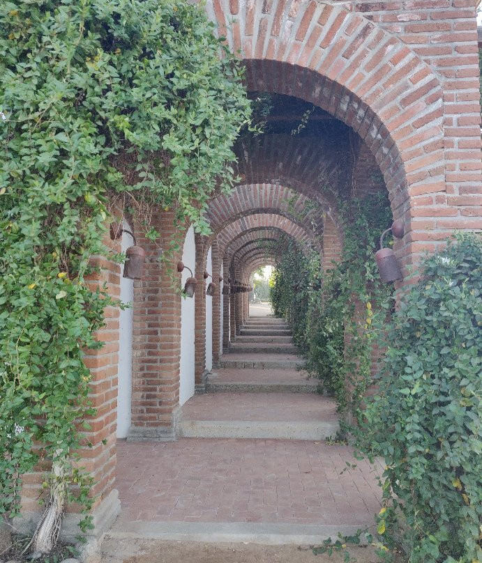 Adobe Guadalupe Vineyards & Inn主图