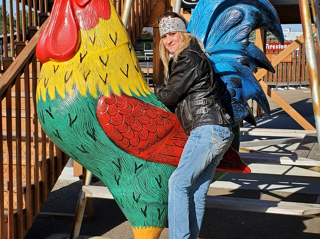 Rollies-Sauk Rapids必去景点