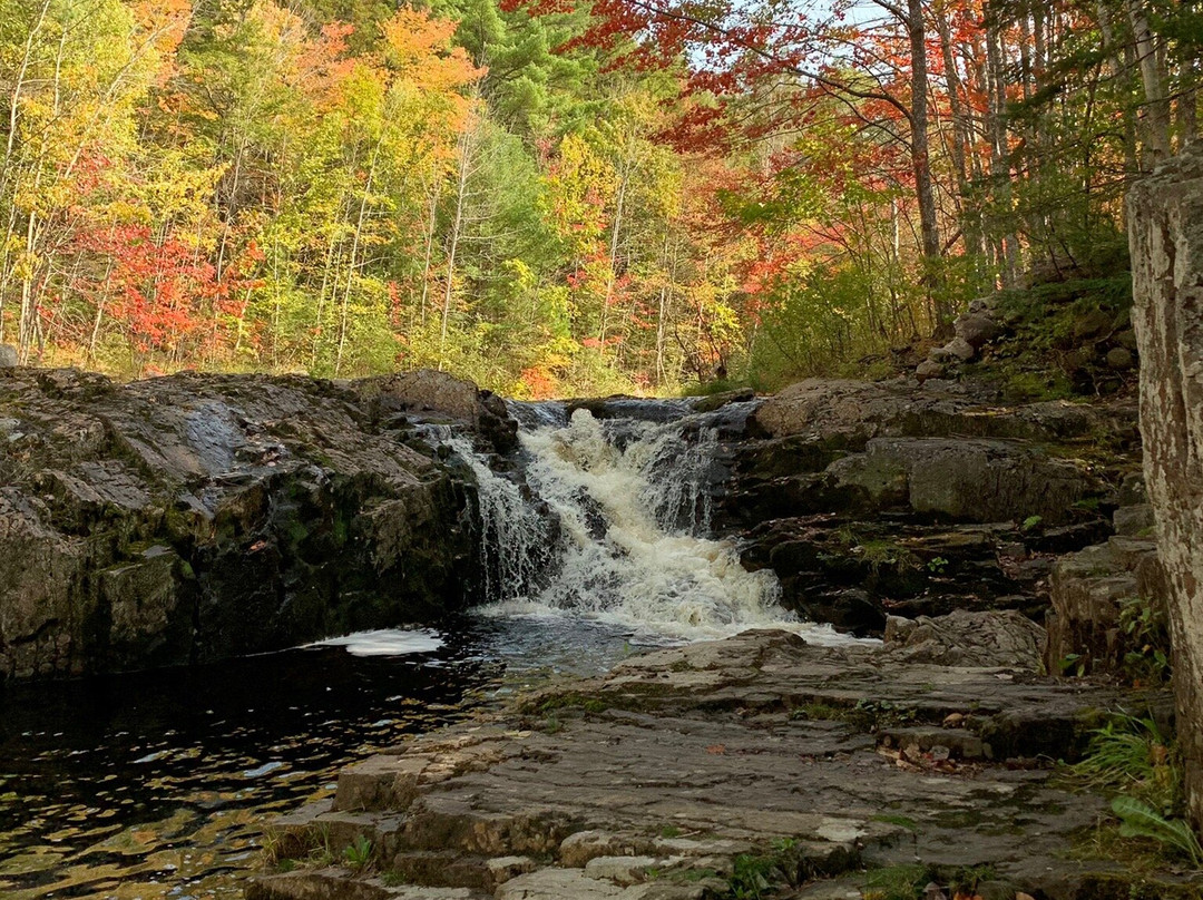 McMaster Mill Historic Park景点图片