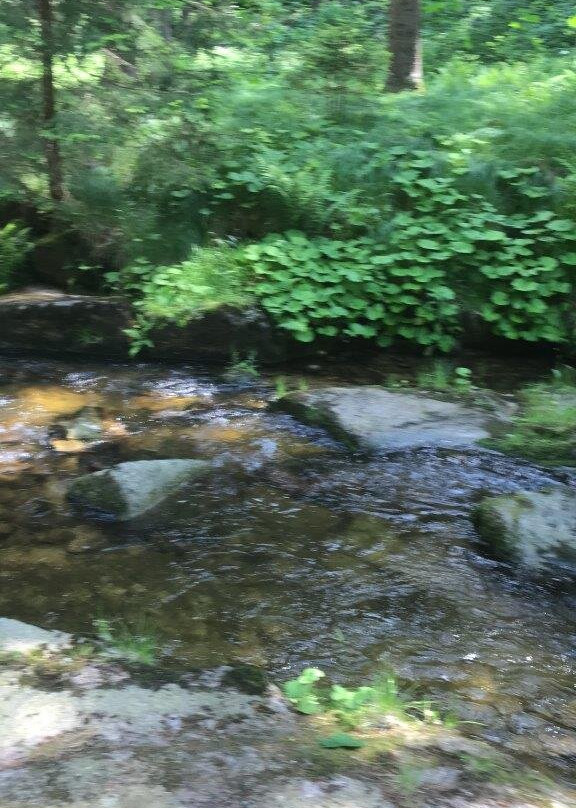 Auersbergkonig-Eibenstock必去景点