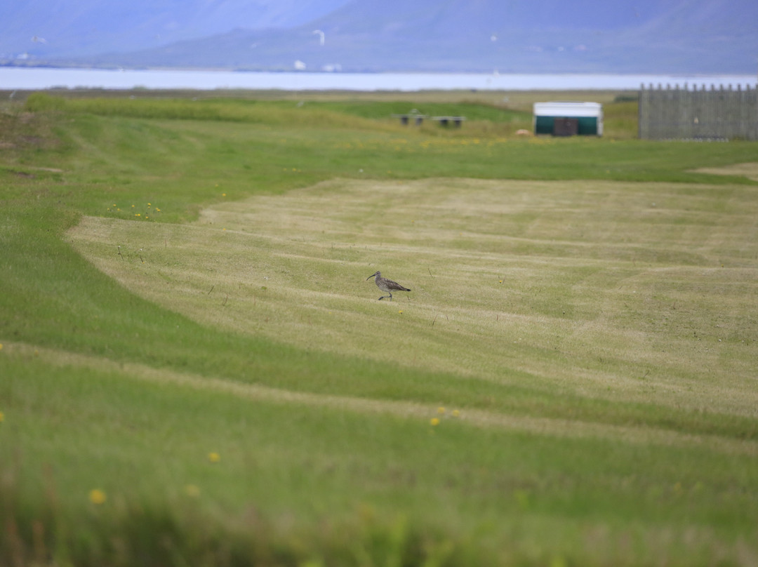Hotel Langaholt主图