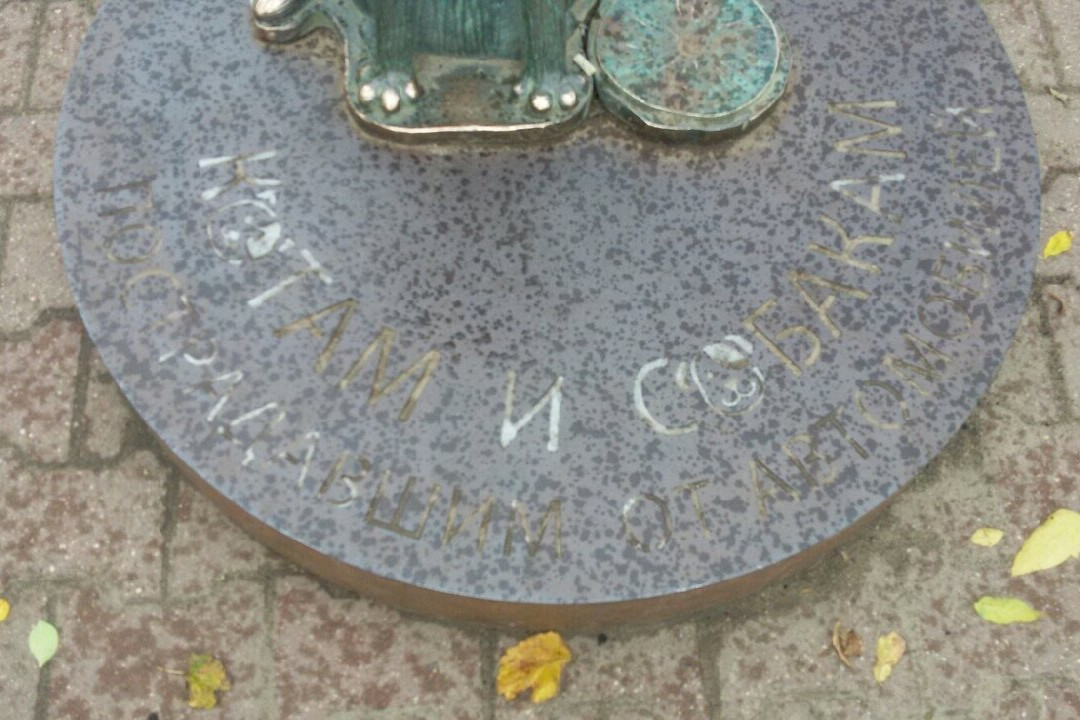 Monument to Cats and Dogs Affected by Cars-科斯特罗马必去景点