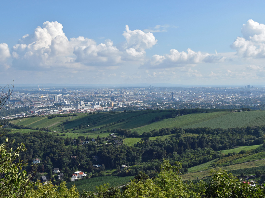 Burg Leopoldsberg-维也纳必去景点
