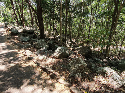 Ocean View Lookout Track-伯利角必去景点