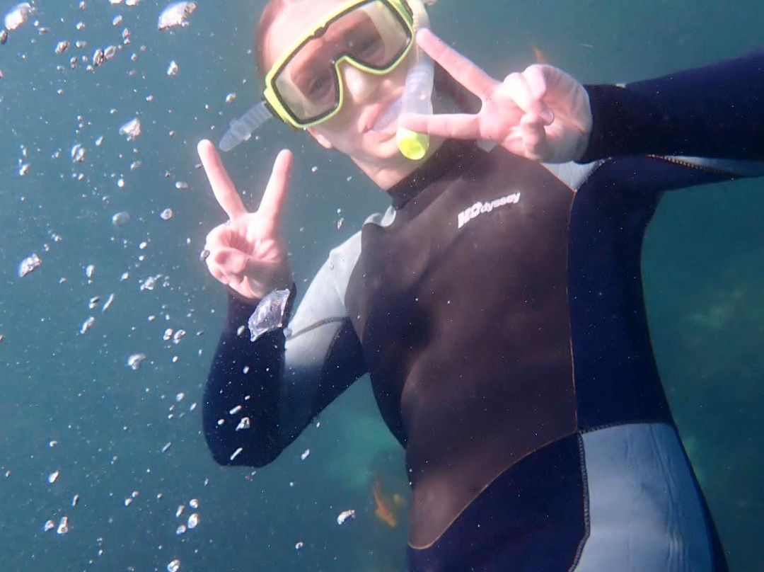 SCUBA SOCAL ADVENTURES-拉荷亚必去景点