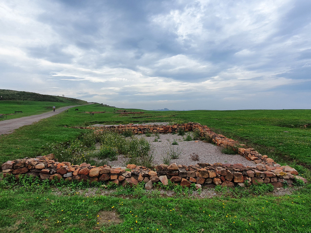 Parque Arqueologico-Natural de la Campa Torres景点图片