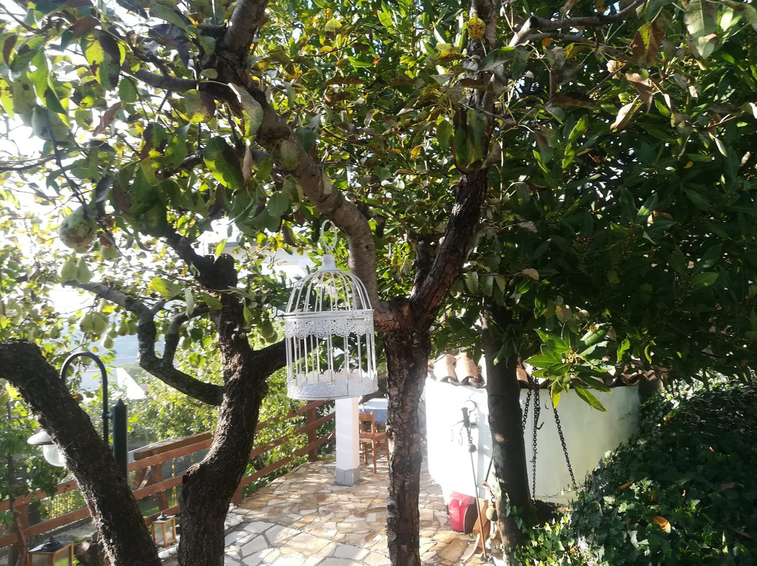 B&B Antica Trattoria Bacco主图