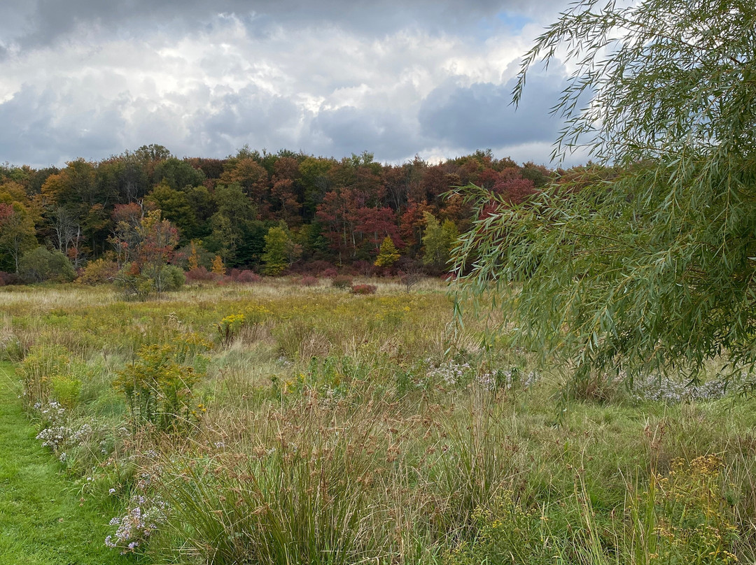 The Arnold House主图