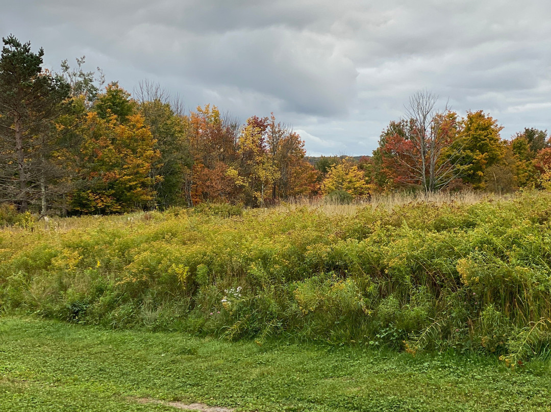 The Arnold House主图