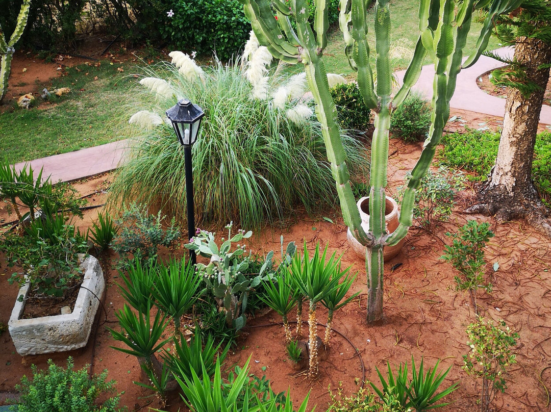 Oasis Beach Hotel主图