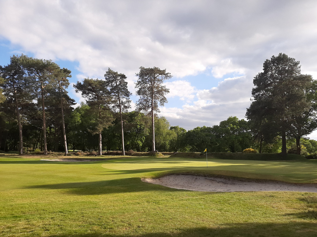 Blackmoor Golf Club景点图片