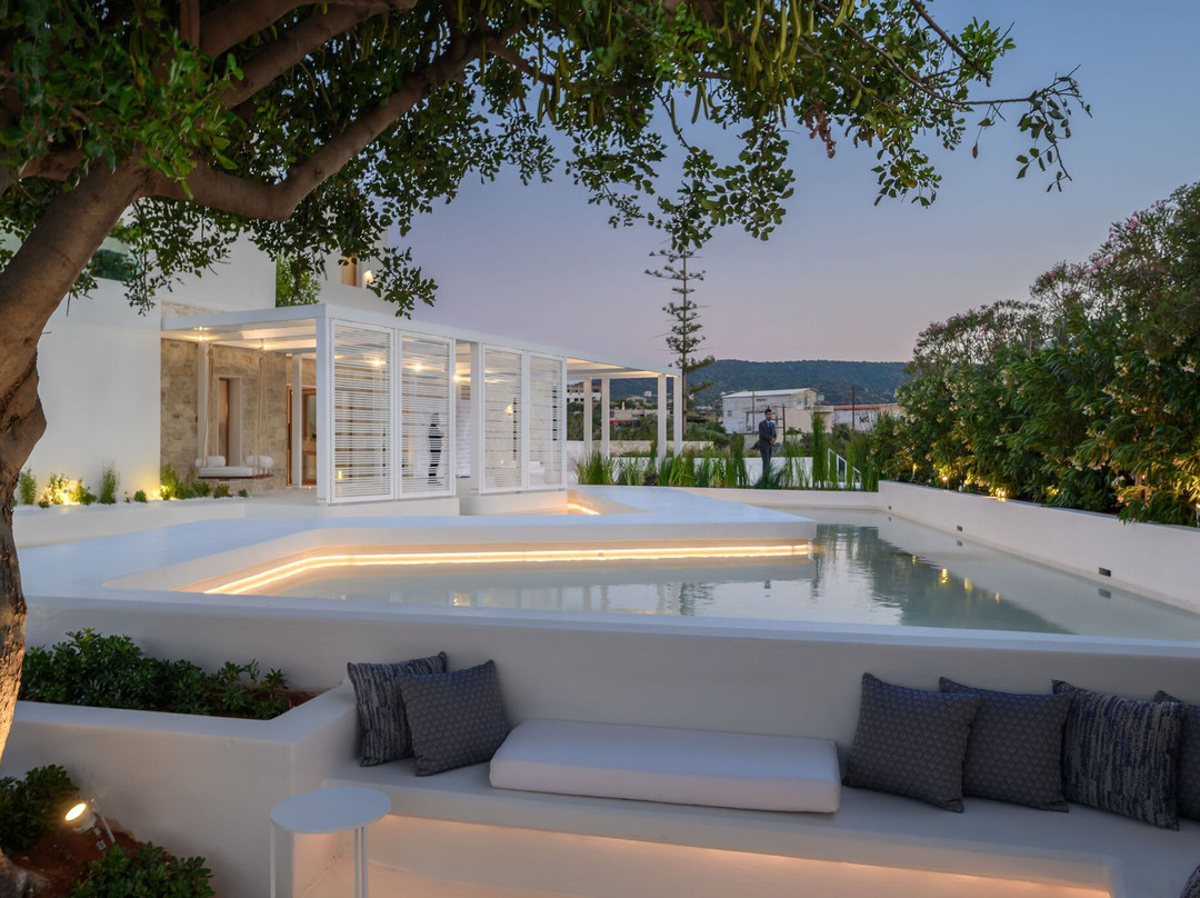 The Island Concept主图