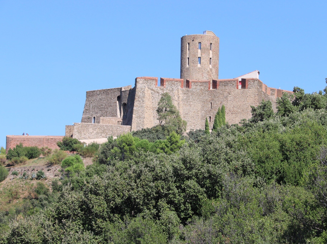 Fort Saint-Elme-科利乌尔必去景点