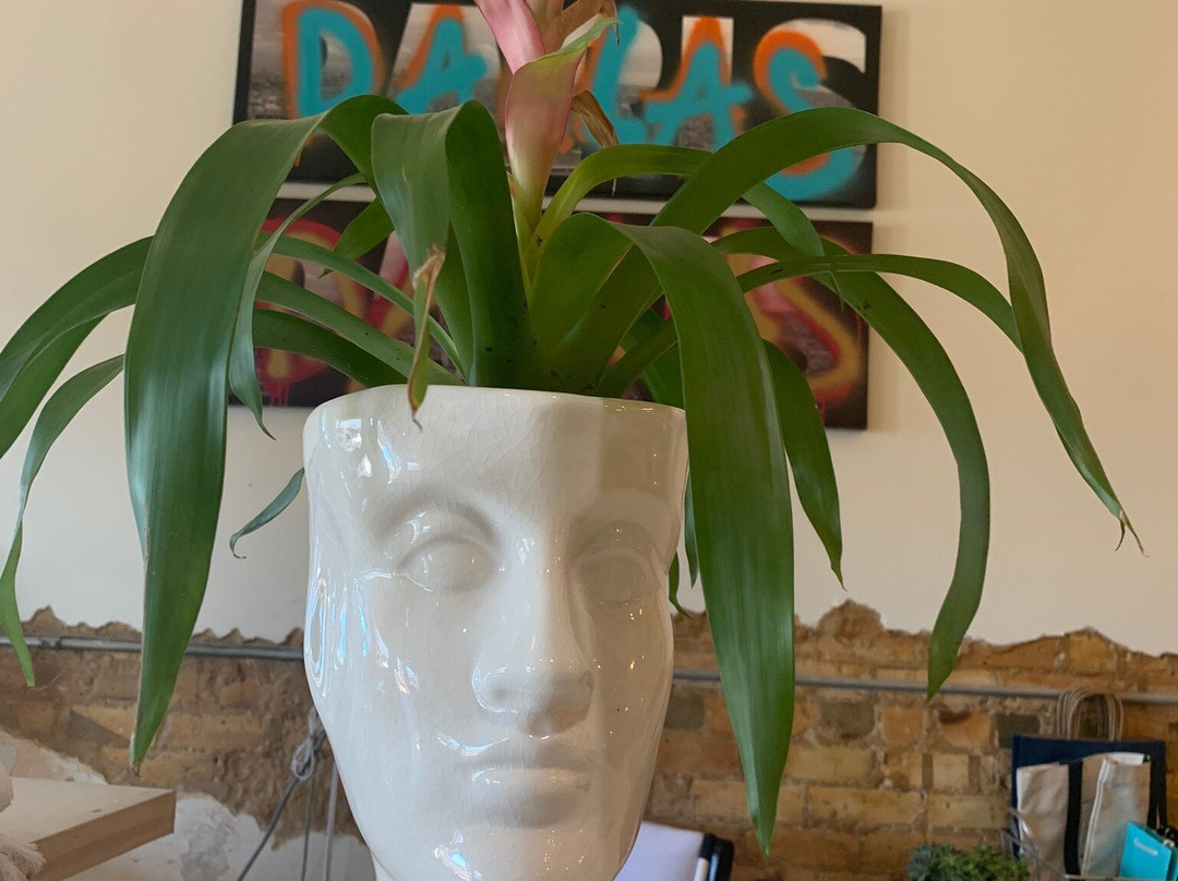 Vault Cedar Creek Lake-Malakoff必去景点