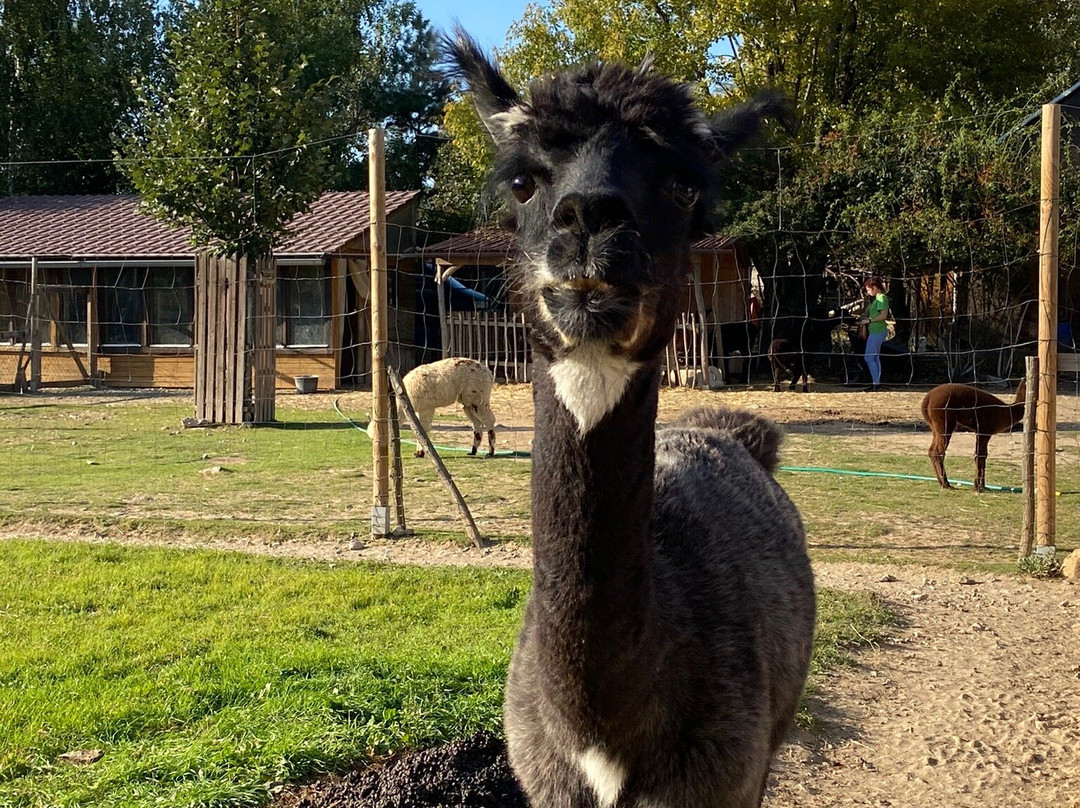 Lamacentrum Hady-布尔诺必去景点