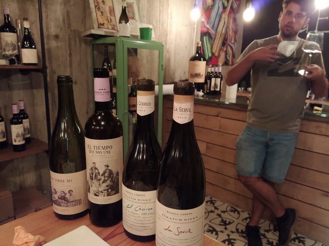 Bodega Cerron景点图片