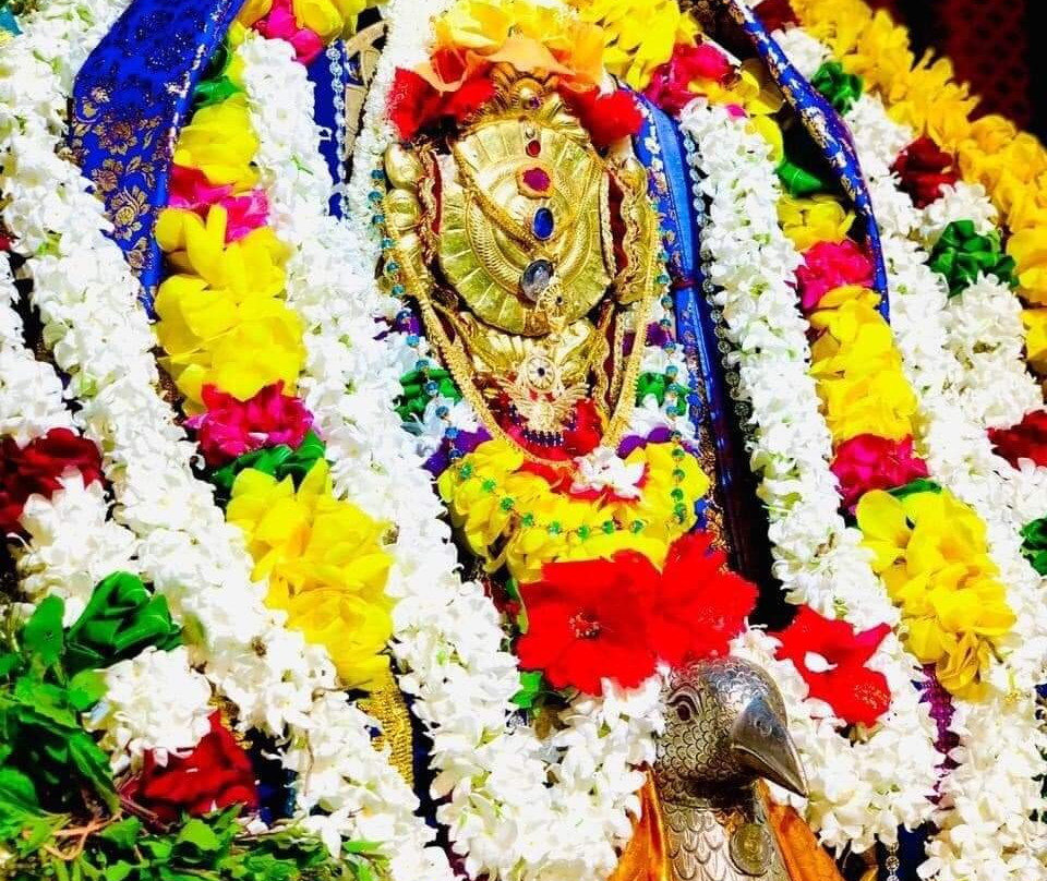 Vallipuram Alvar Vishnu Kovil景点图片