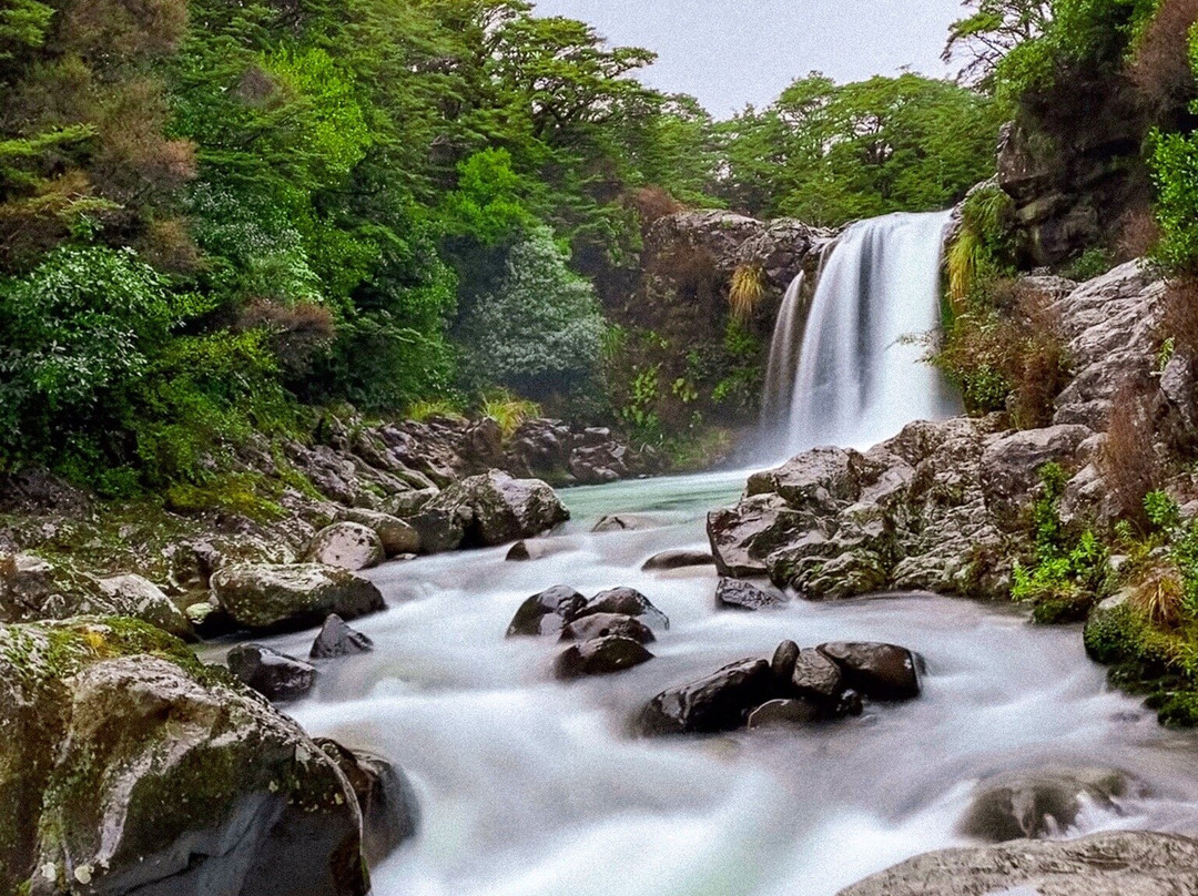 Tawhai Falls景点图片