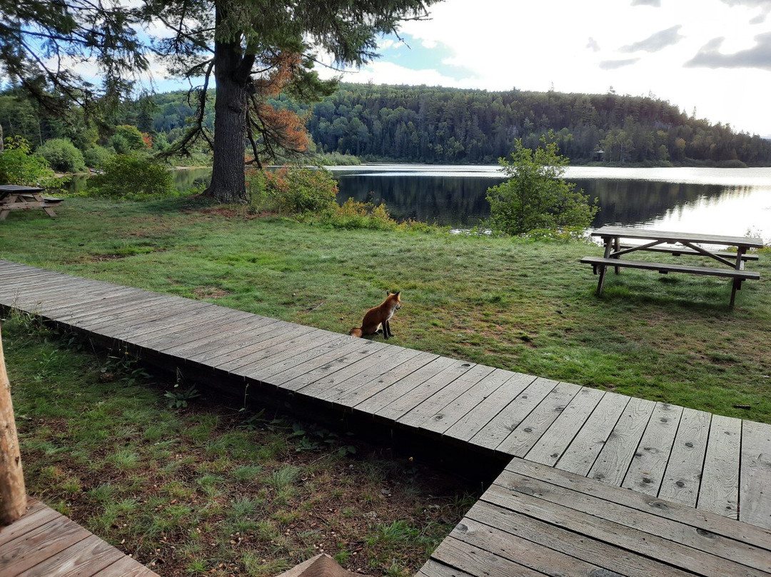 Centre du Pourvoyeur Mastigouche Ltd-Mandeville必去景点