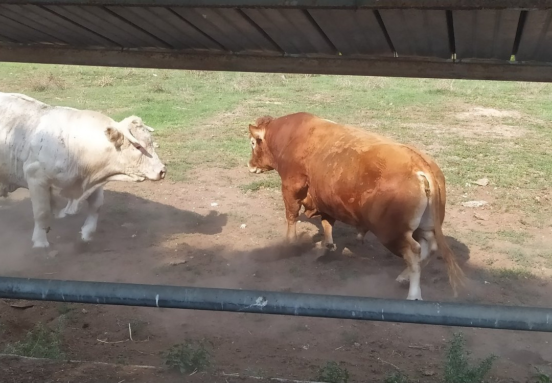 Rocca Respampani-Monte Romano必去景点