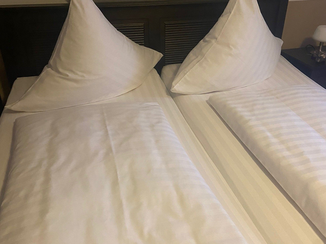 Hotel Wasserschlosschen主图