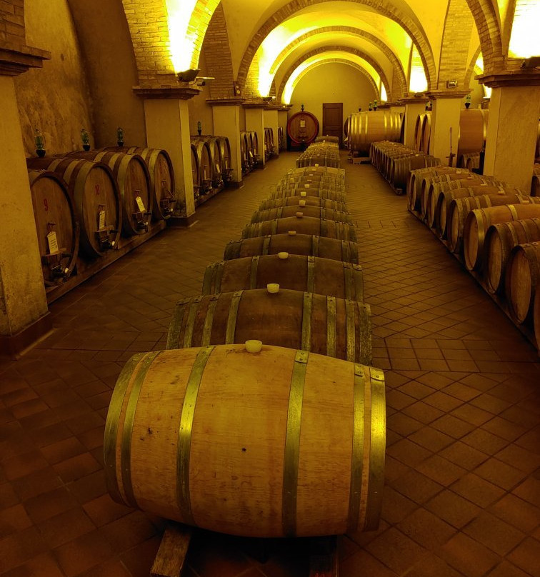 Winery Solaria Patrizia Cencioni景点图片