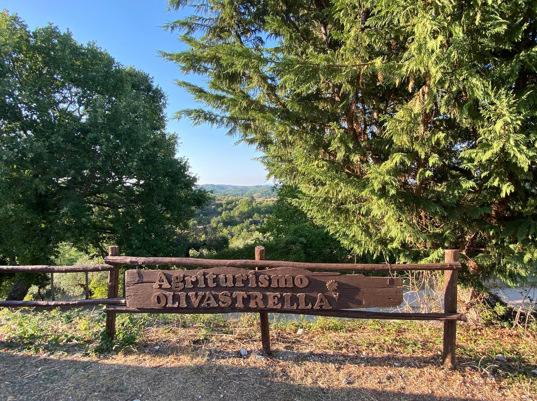 Bio Agriturismo Olivastrella主图