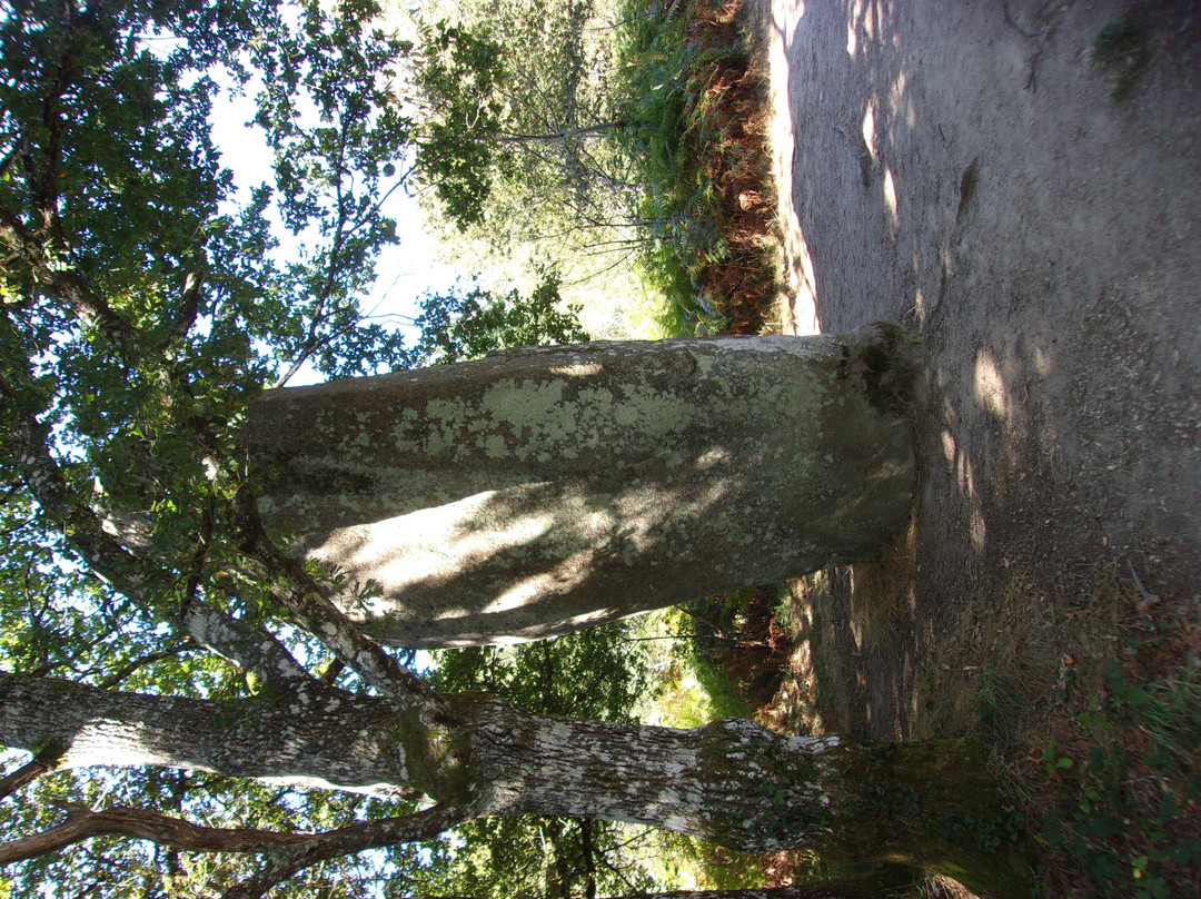 Menhir de Ceinturat景点图片