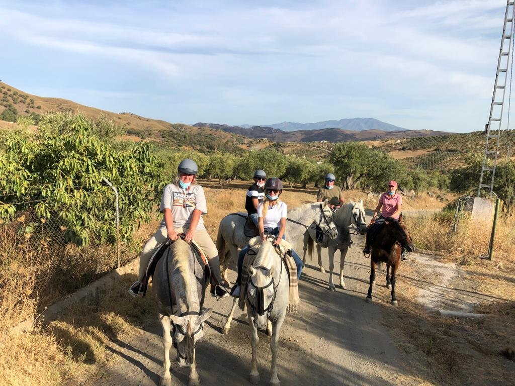 Cortijo el Chenil Caballos景点图片