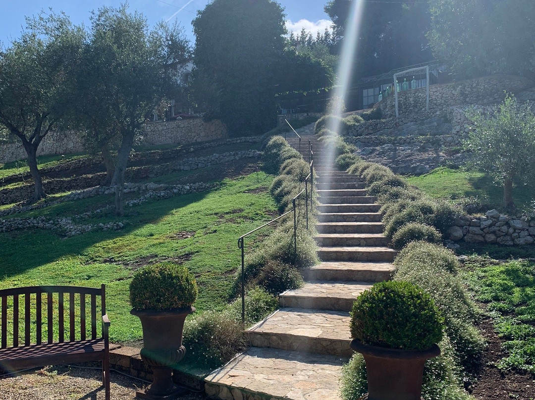 马塞里亚齐萨摩尔乡村民宿主图