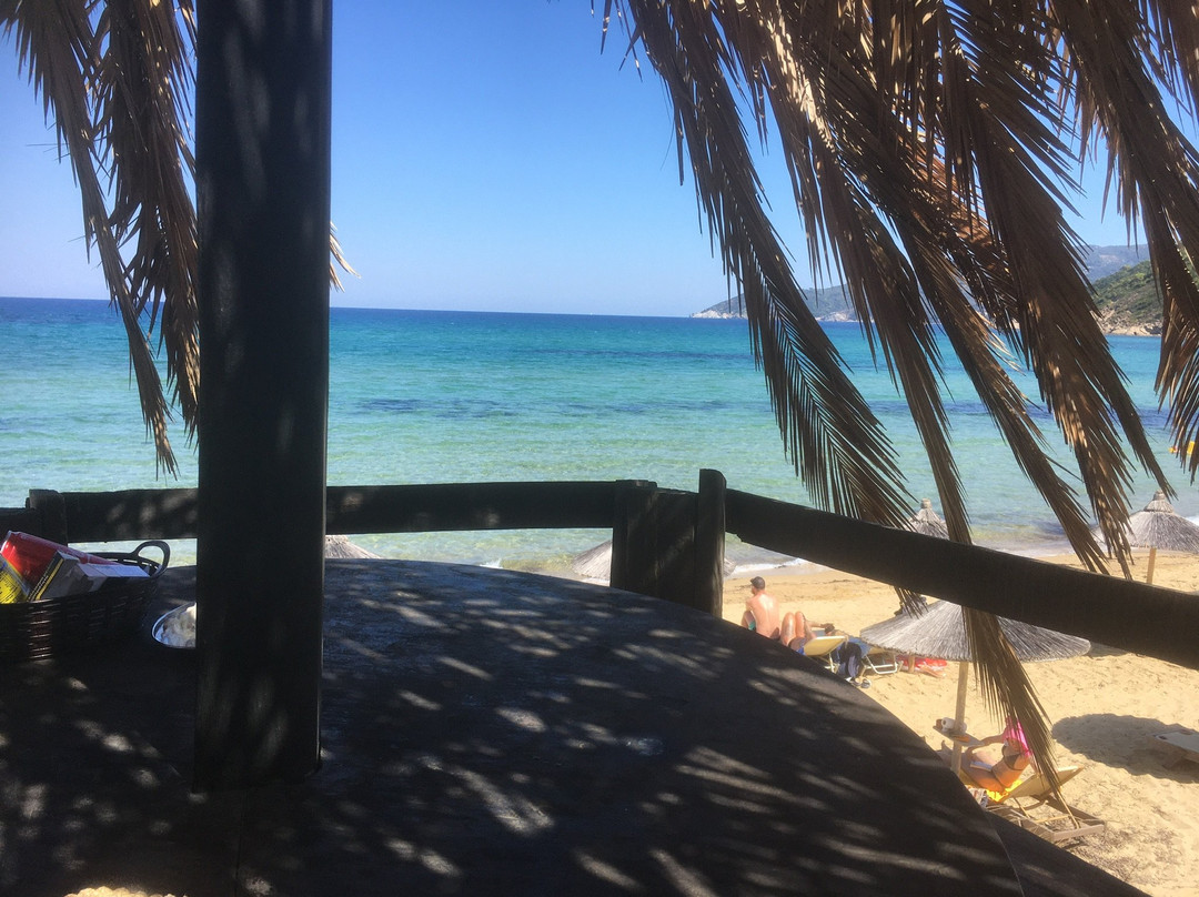 Maistrali Studios主图