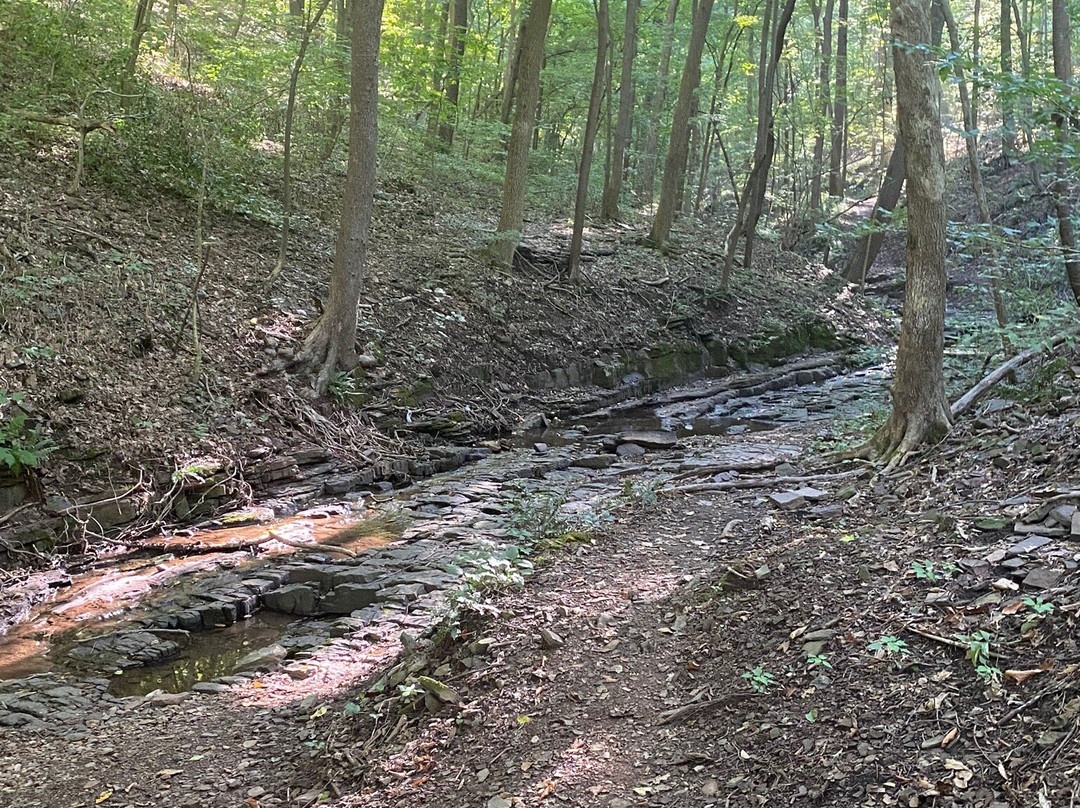 Lock 60 Recreation Area-Mont Clare必去景点