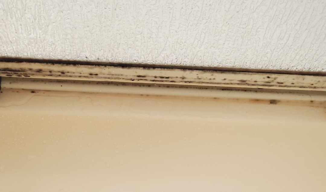 Hôtel Énergie Shawinigan主图