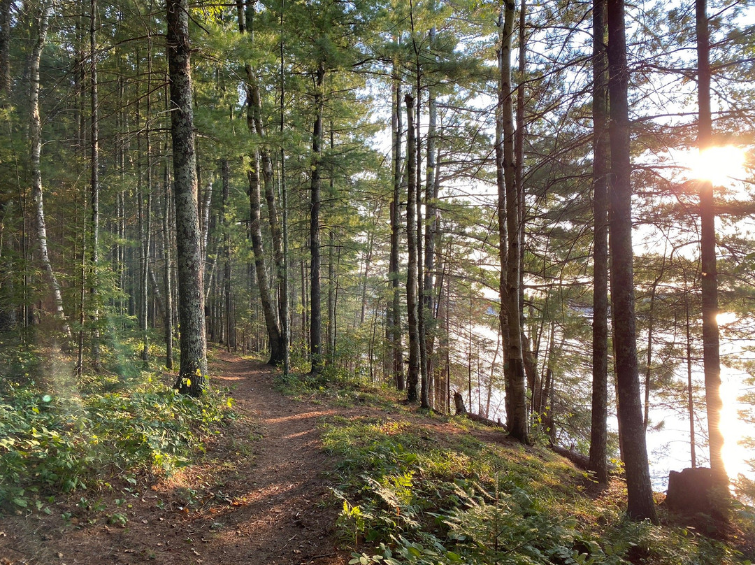 Chequamegon-Nicolet National Forest-Clam Lake必去景点