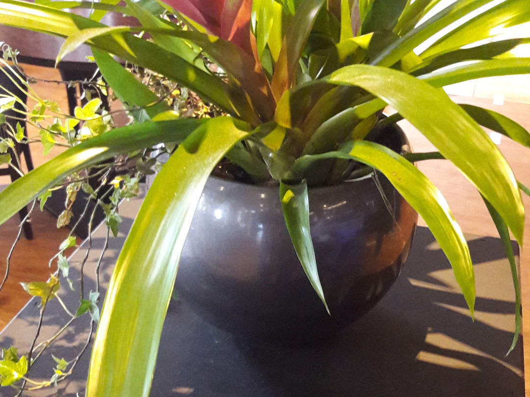 Hotel Millings Centrum主图