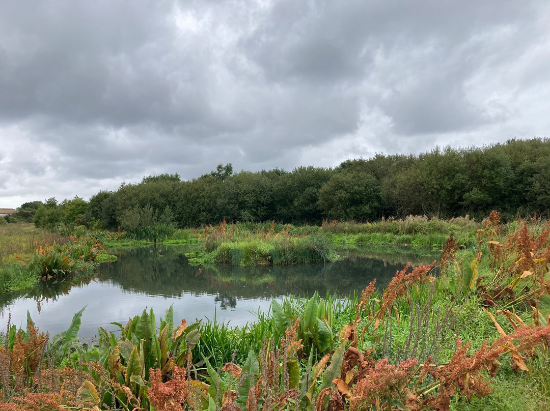 Monkton Fell-Hebburn必去景点