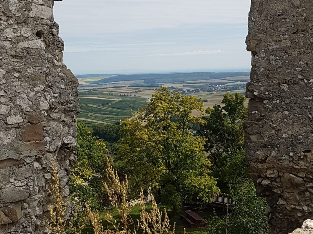 Falkenstein Castle景点图片