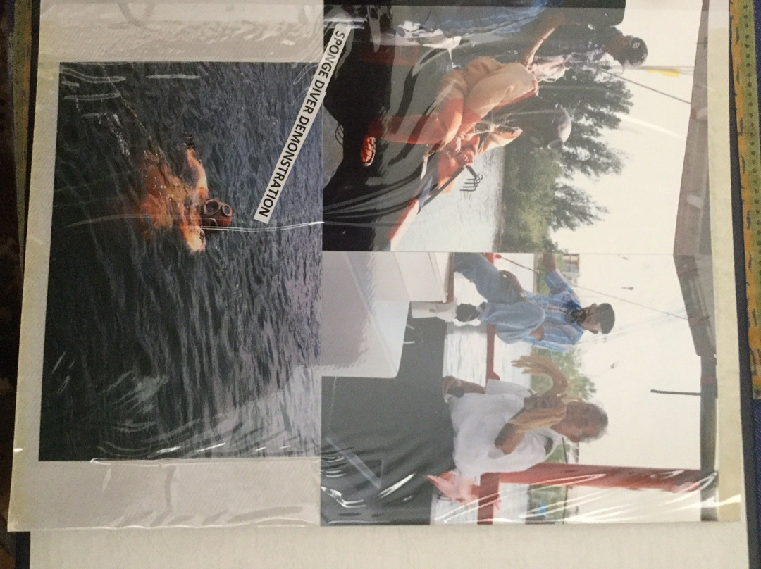 St. Nicholas VI Sponge Boat-塔彭斯普林斯必去景点