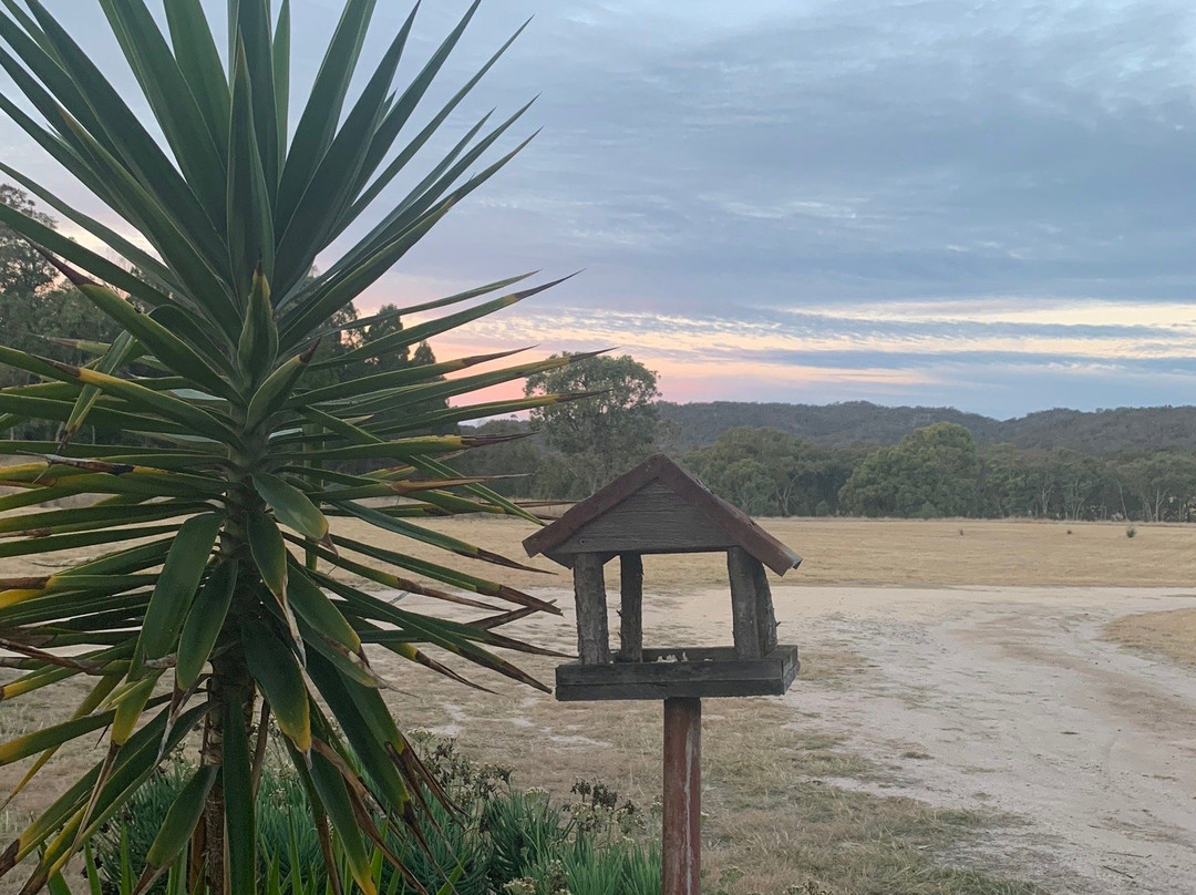 亚卢尔精品别墅酒店主图