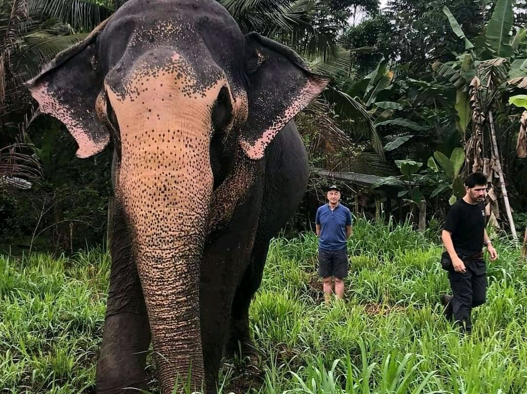 Ferien lanka tour-品纳维拉必去景点