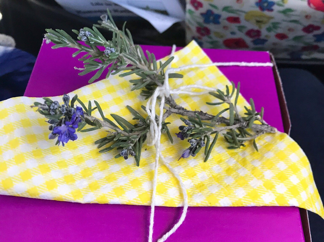 Skitterland B&B主图