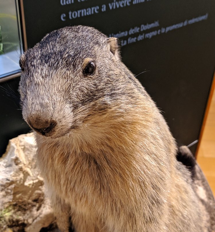 Museum of Nature South Tyrol景点图片