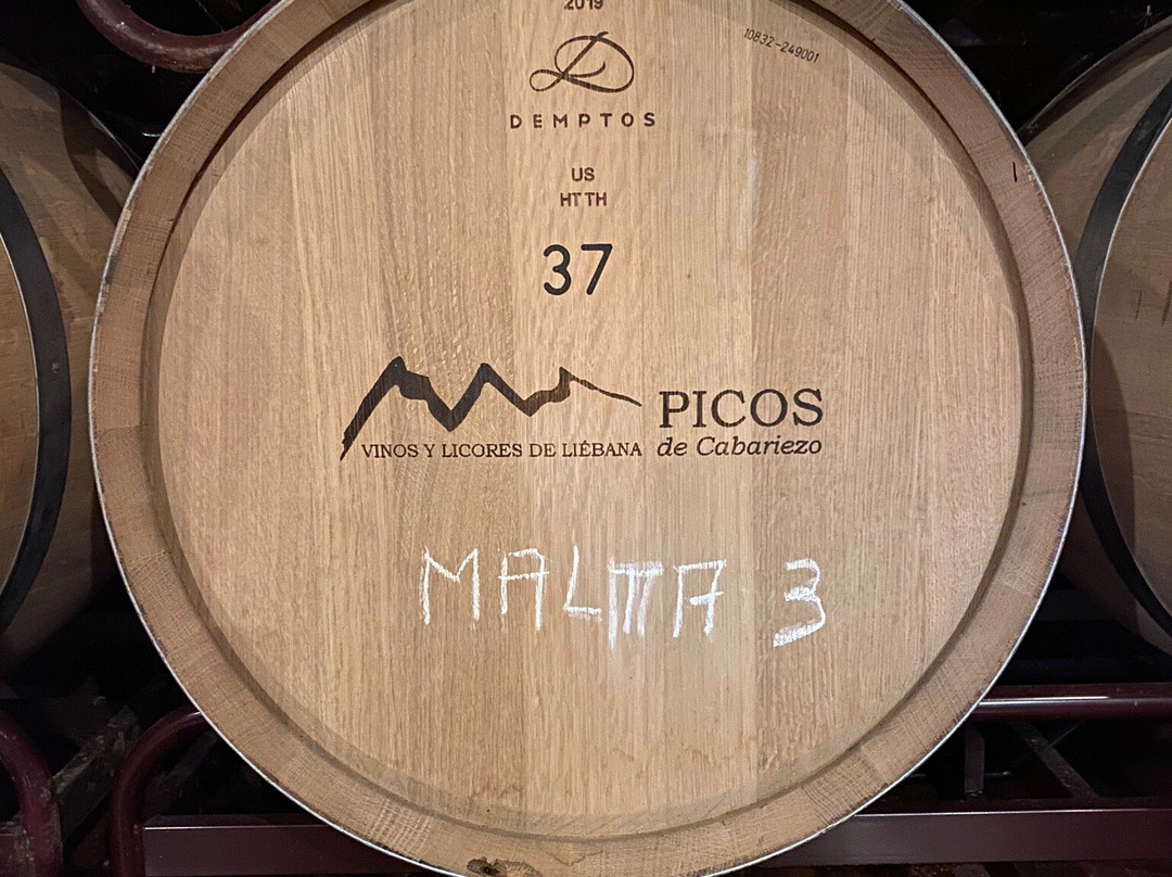 Picos de Cabariezo景点图片