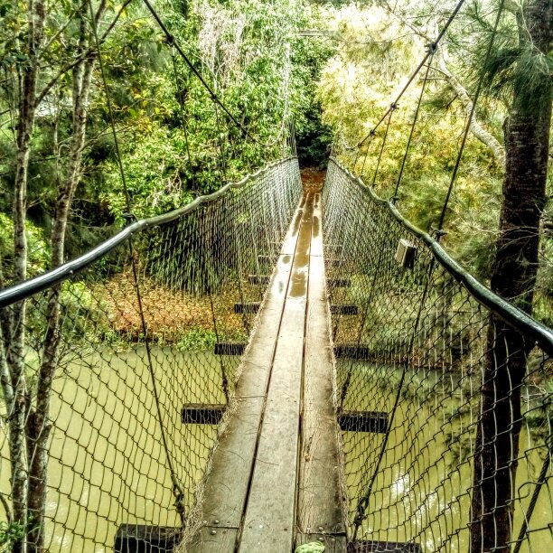 The Peterson Creek Walking Track-Yungaburra必去景点