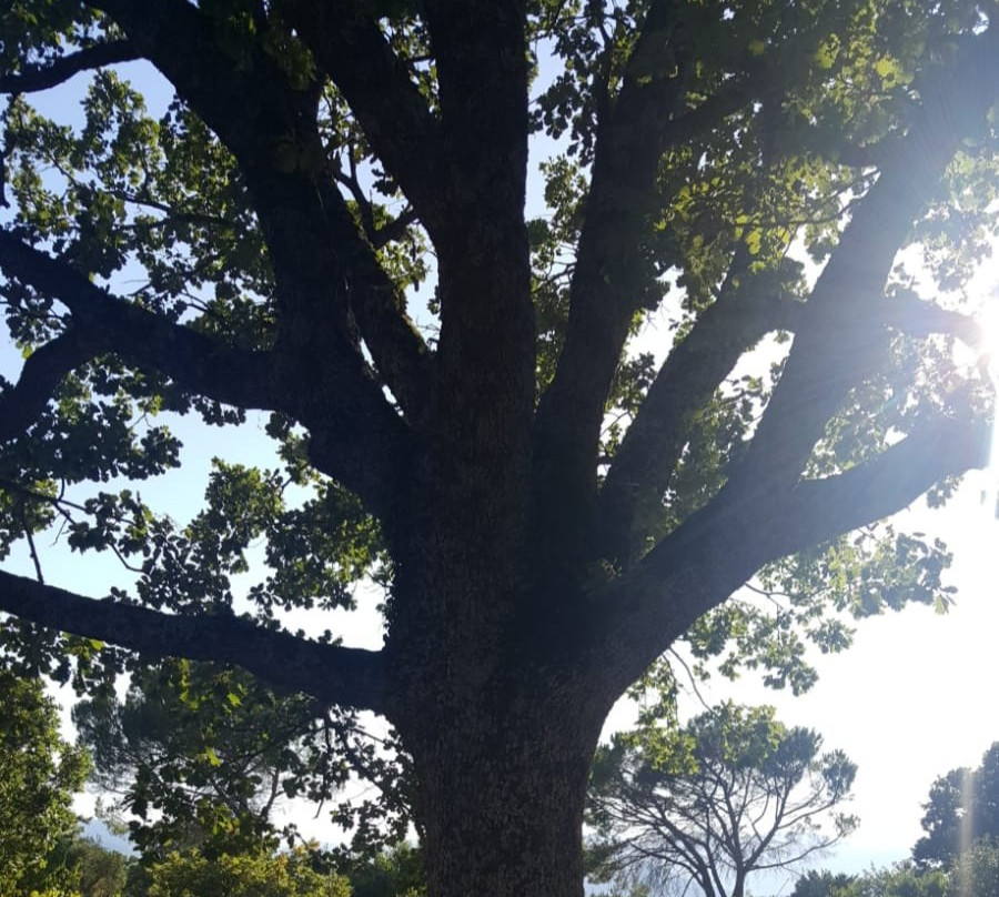 Parco Nazionale Appennino Lucano Val d'Agri Lagonegrese景点图片